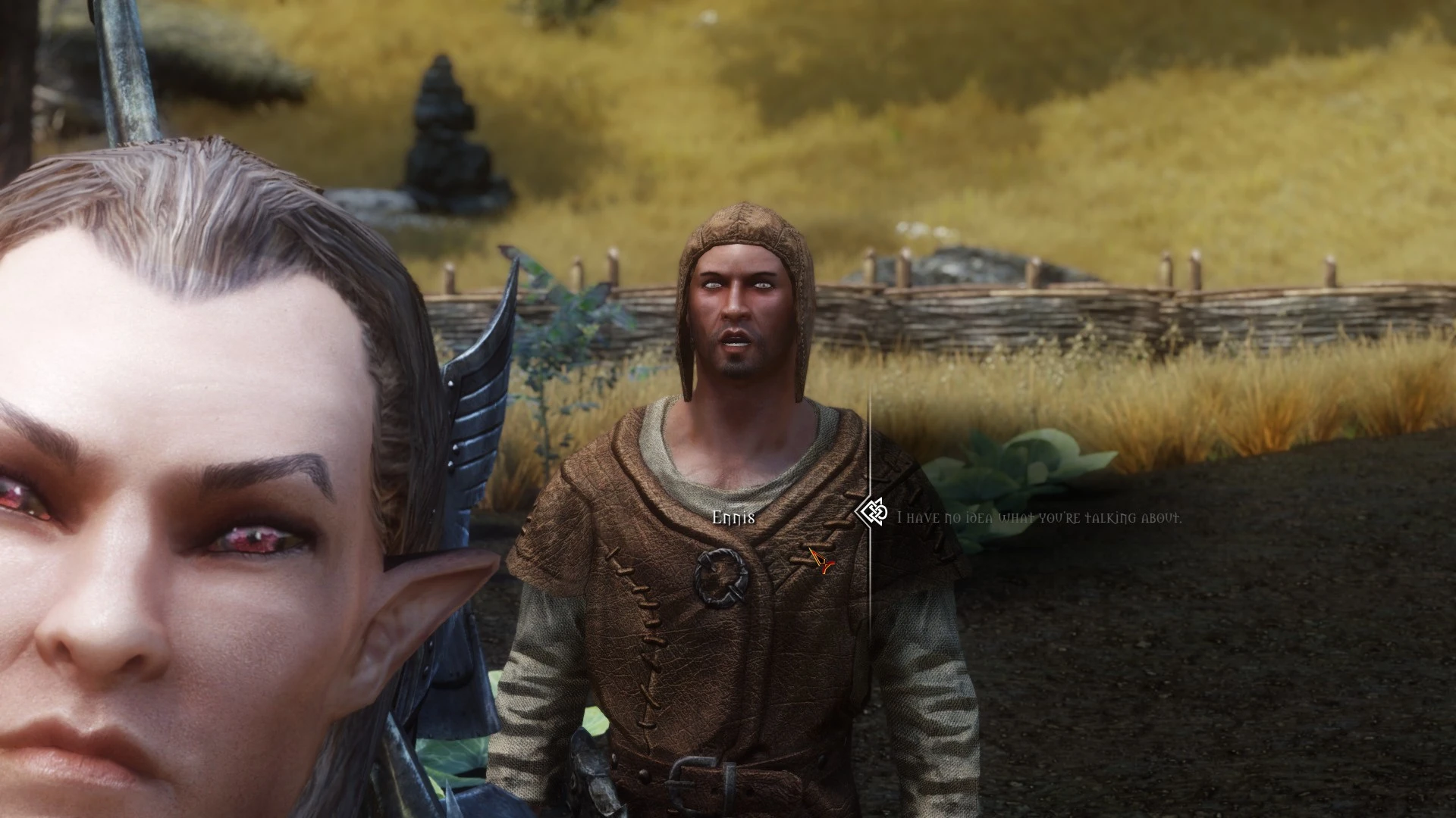 skyrim true eyes mod