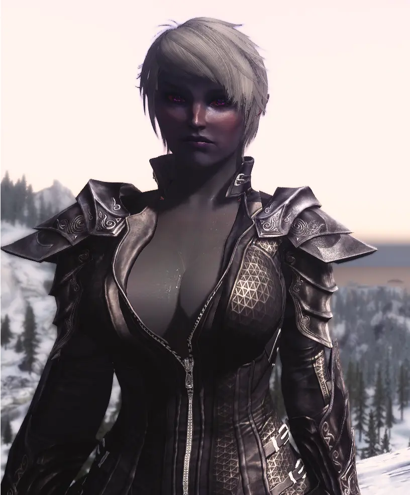 Dunmer Assassin At Skyrim Nexus Mods And Community