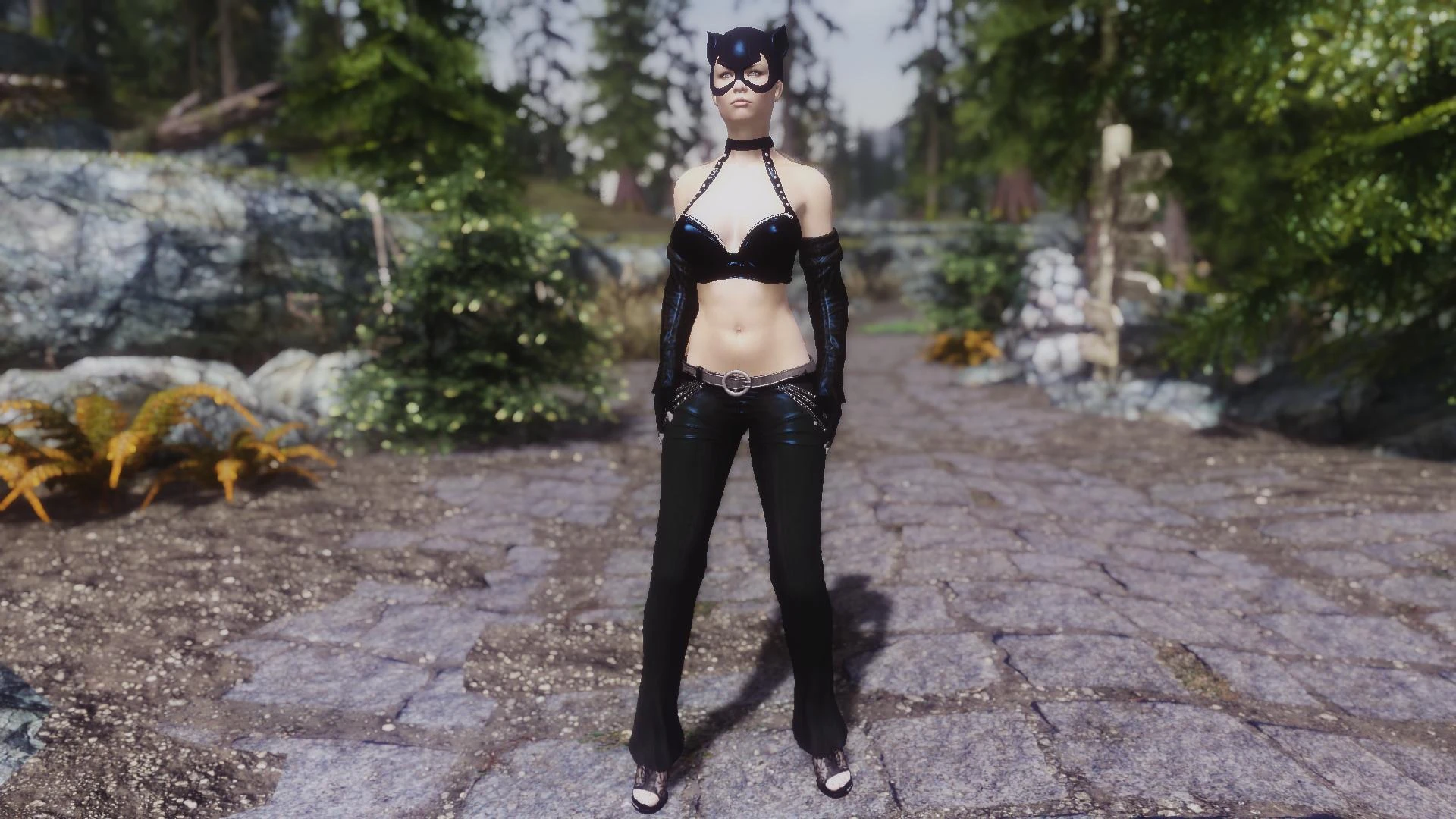 Catwomen At Skyrim Nexus Mods And Community   166163763 1688061542 