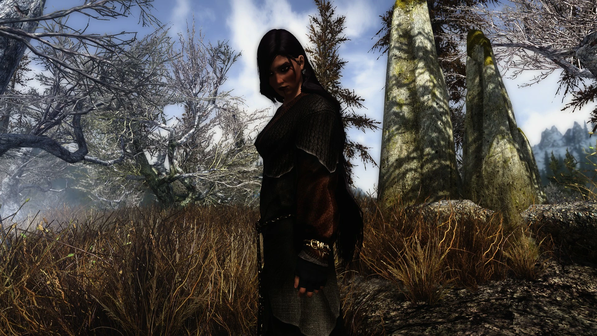 Wild Witches Wild Witches