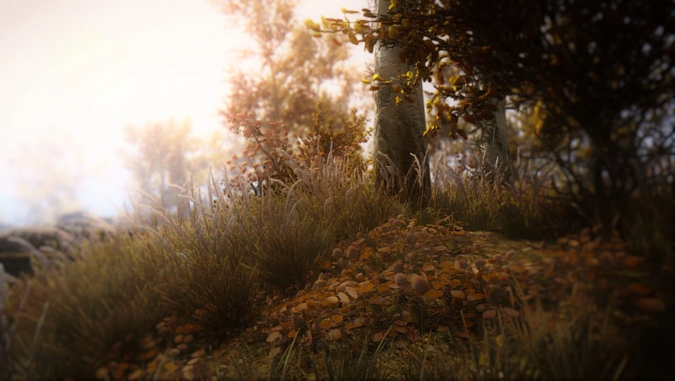 wild rift mod wild rift mod