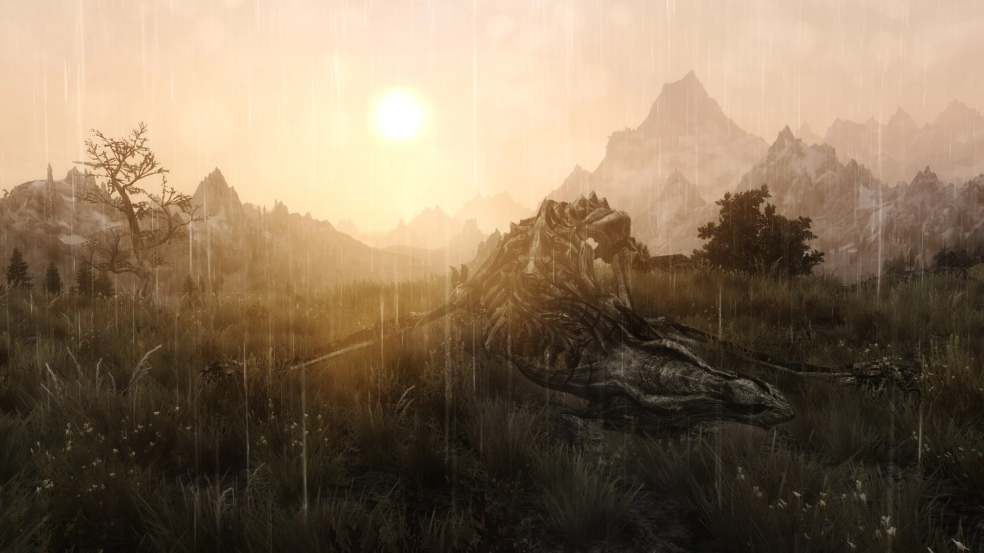 Dragon bones at Skyrim Nexus - Mods and Community