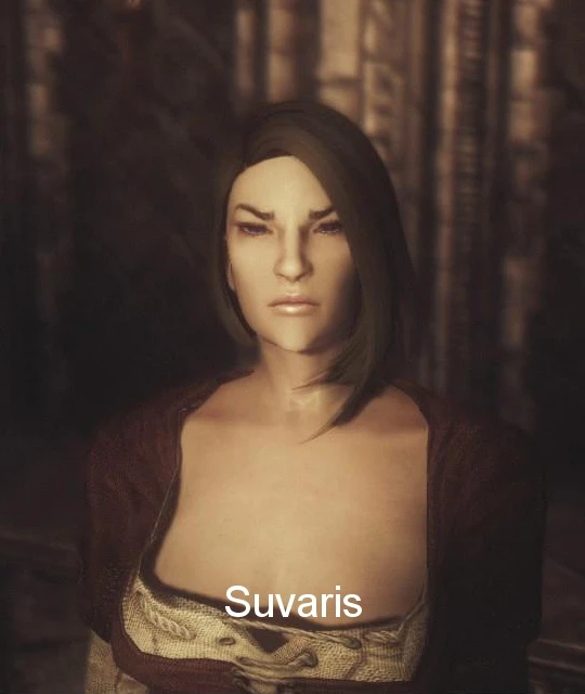 skyrim npc face replacer