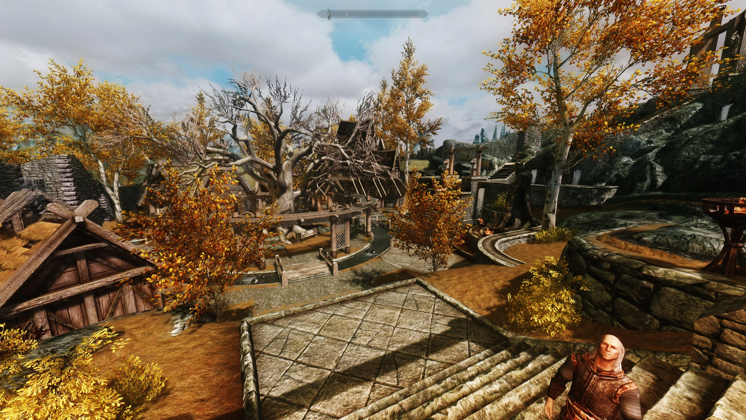 Trees skyrim mod. Скайрим Вайтран дерево. Дерево в Вайтране. Мод деревья в Вайтране. Скайрим мод на деревья.