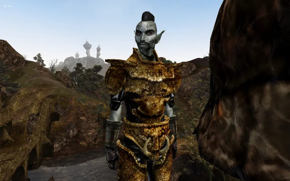 Morrowind как изменить прическу