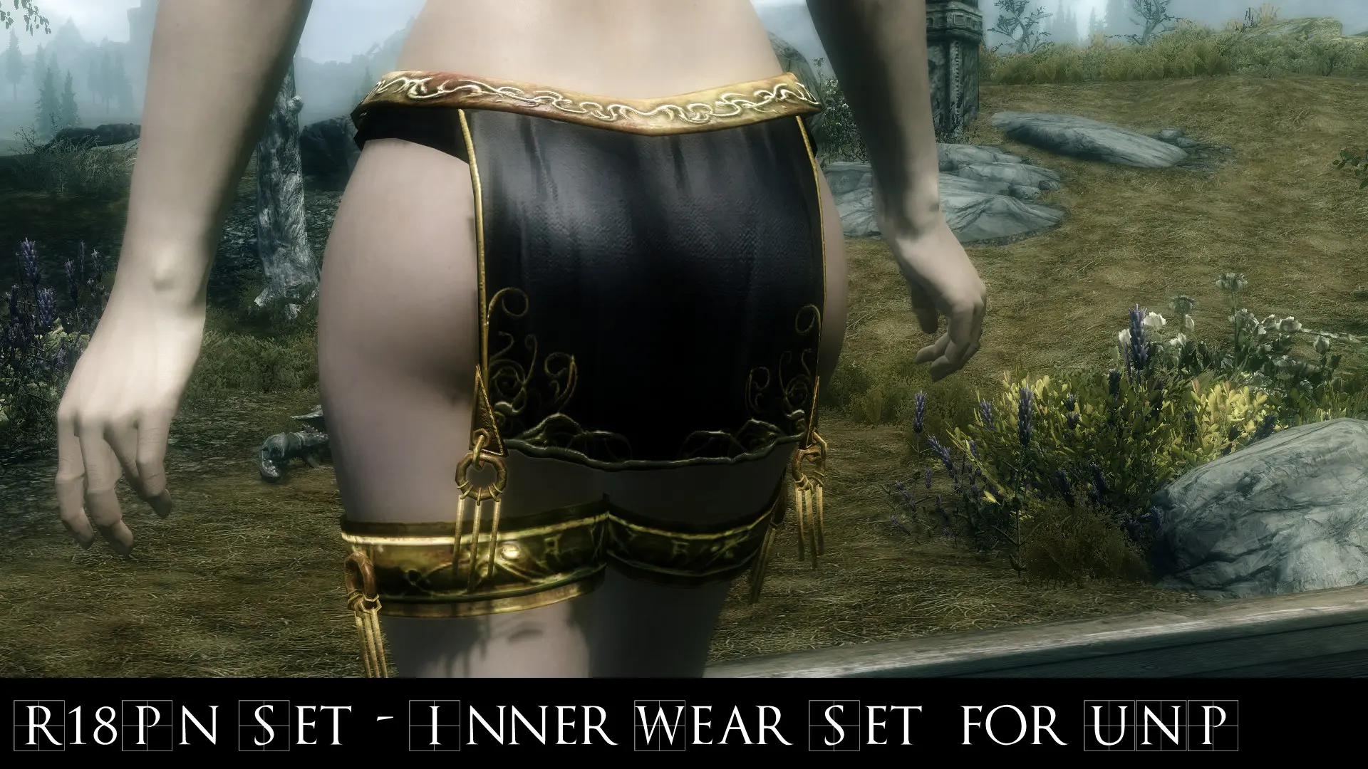 R18Pn Set - Inner Wear Set for UNP by NPR at Skyrim Nexus - Mods and  Community