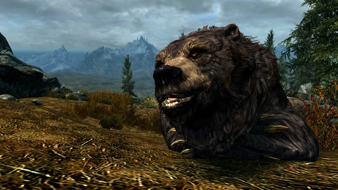 Boon Bear at Skyrim Nexus - Mods and Community