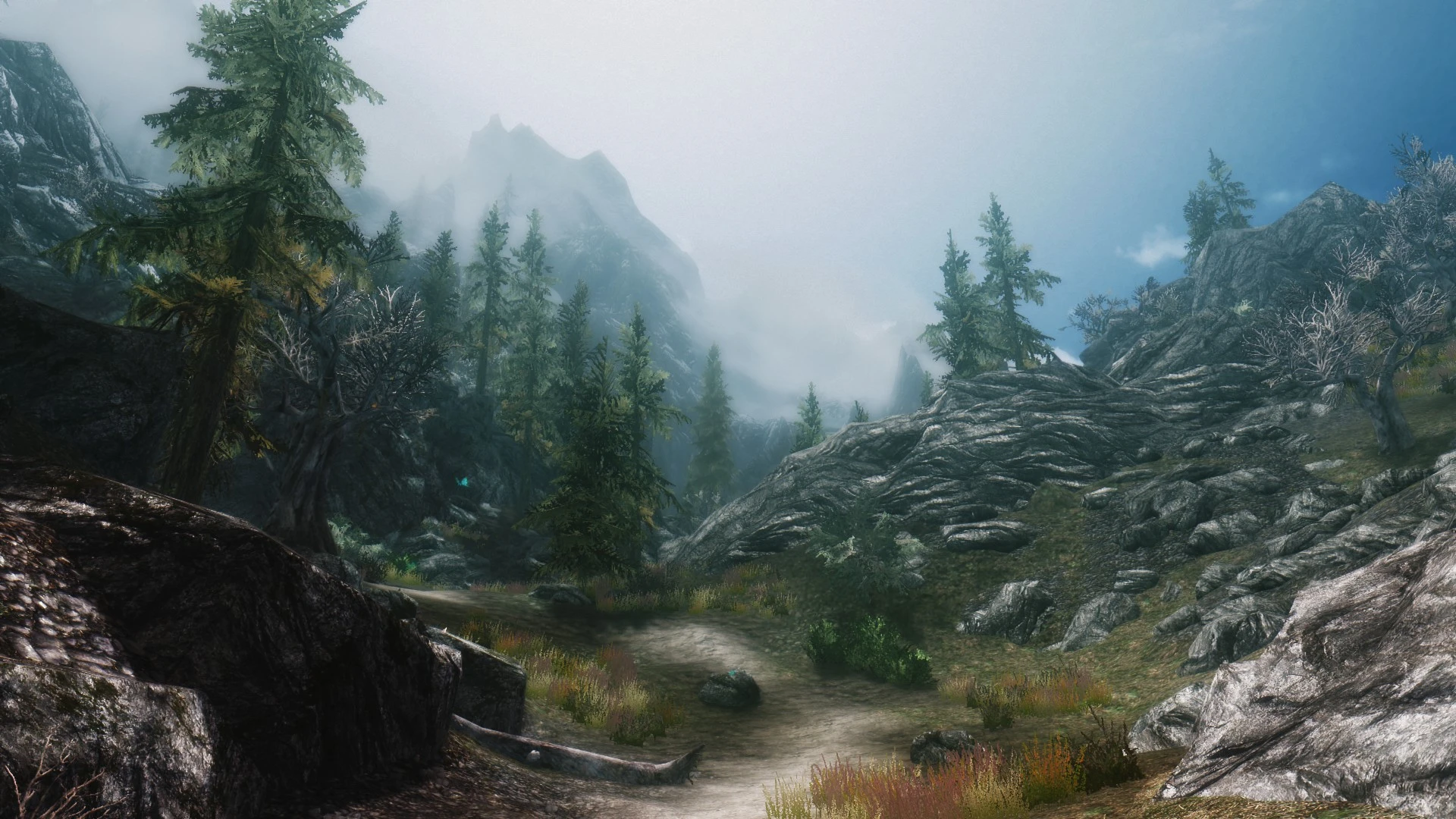 The World Beyond The Woods at Skyrim Nexus - Mods and Community