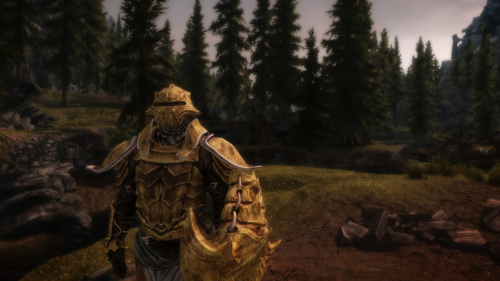 Bonemold at Skyrim Nexus - Mods and Community