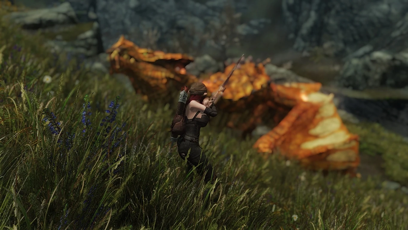 Dragon Hunt At Skyrim Nexus Mods And Community 