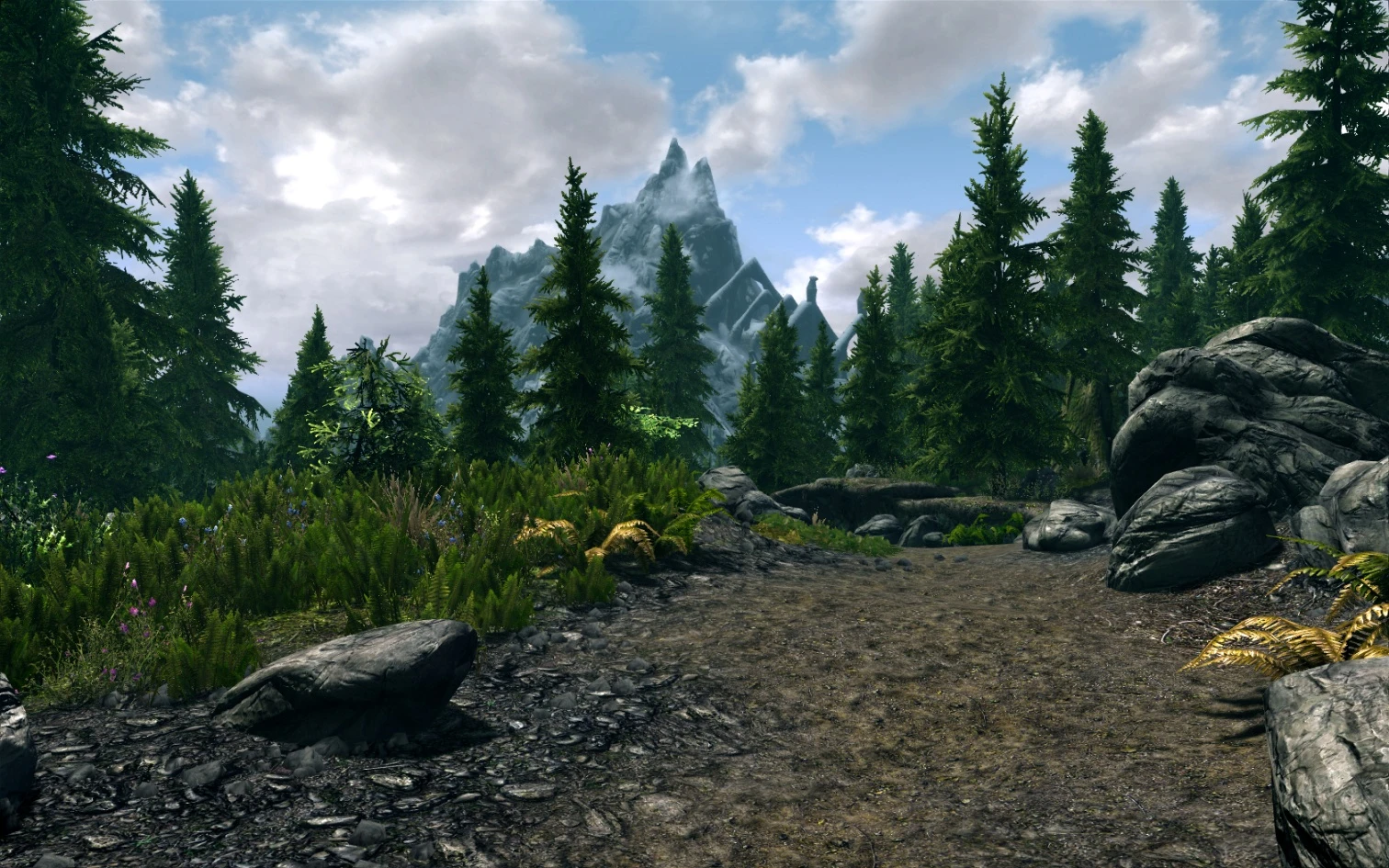 Mountain Forest  at Skyrim Nexus  Mods and Community