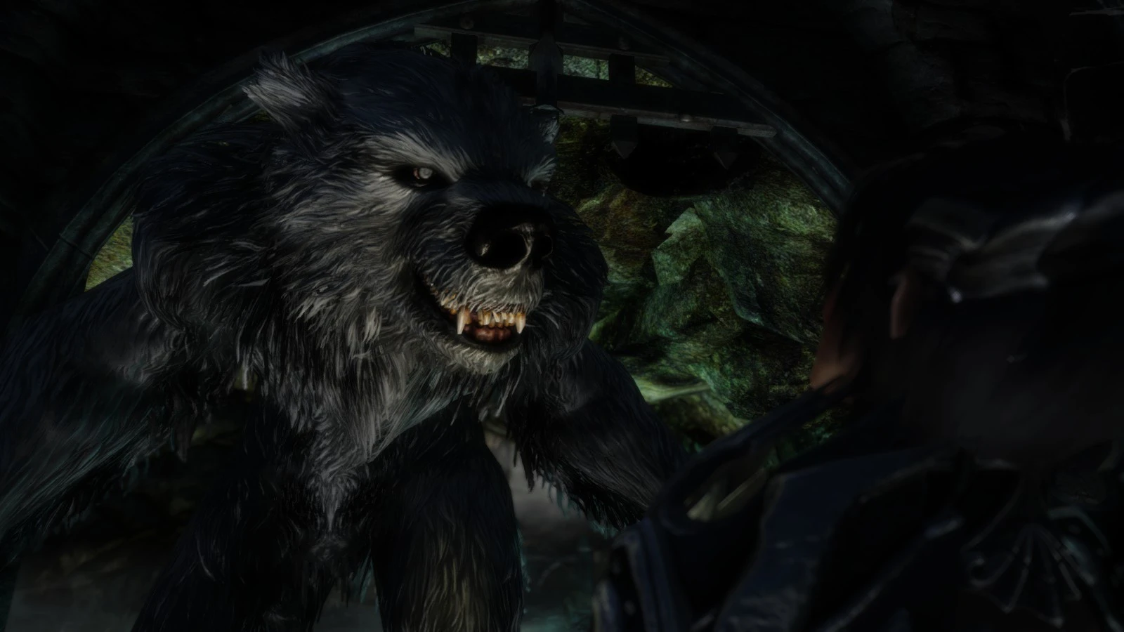 Wurick the Werebear at Skyrim Nexus - Mods and Community