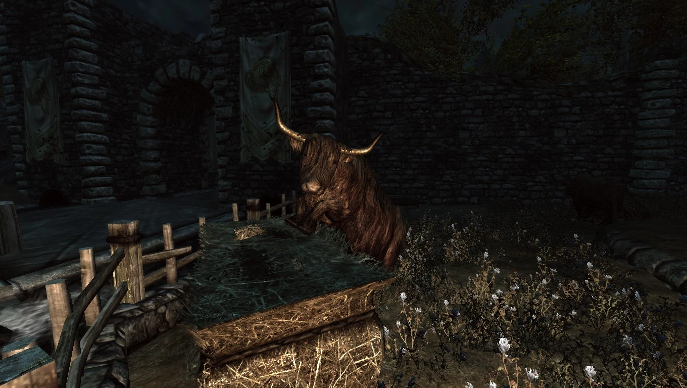 Skyrim being a Cow.