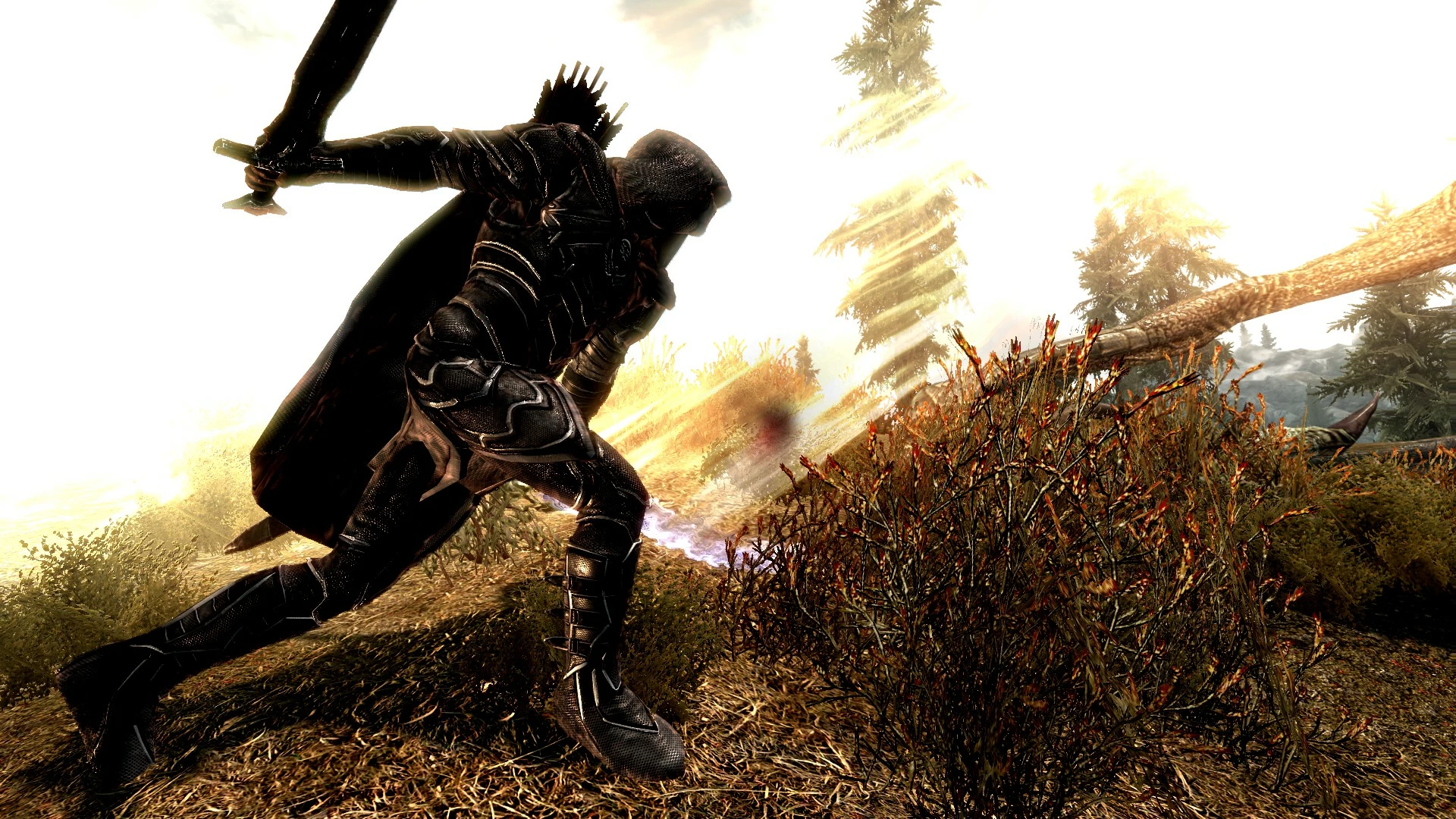 skyrim not the dragonborn mod skyrim not the dragonborn mod