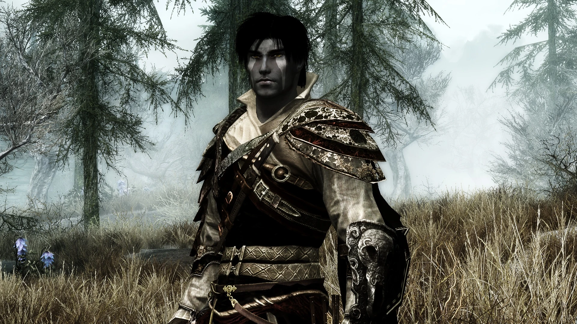 Daeron at Skyrim Nexus - Mods and Community