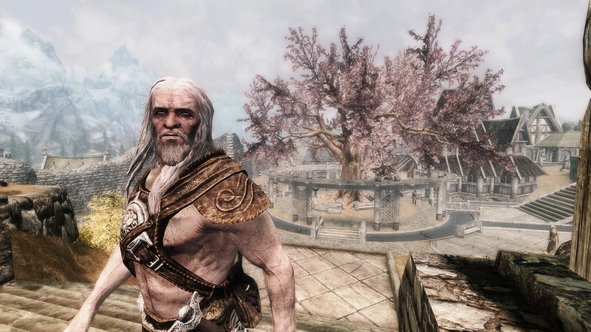 mod nexus tes5edit gray mod nexus tes5edit gray
