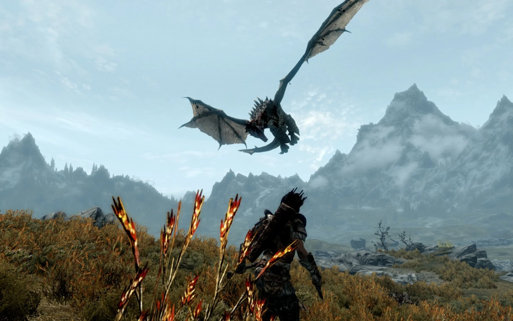 Skyrim dragon mods