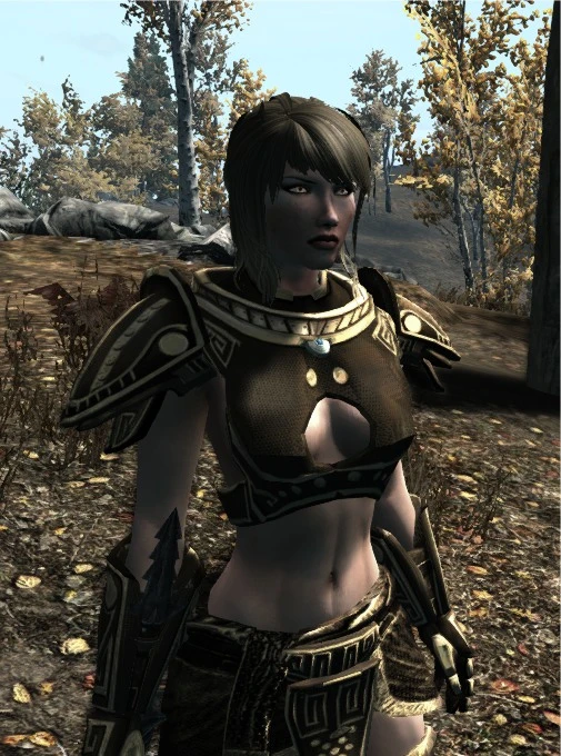 Nadia Heroic Skimpy Armor At Skyrim Nexus Mods And Community