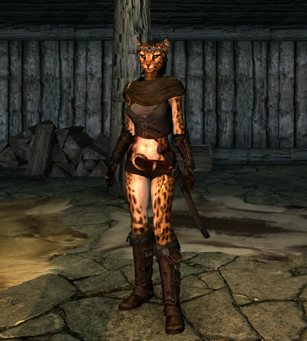 Khajiit female thief armor mashup front.
