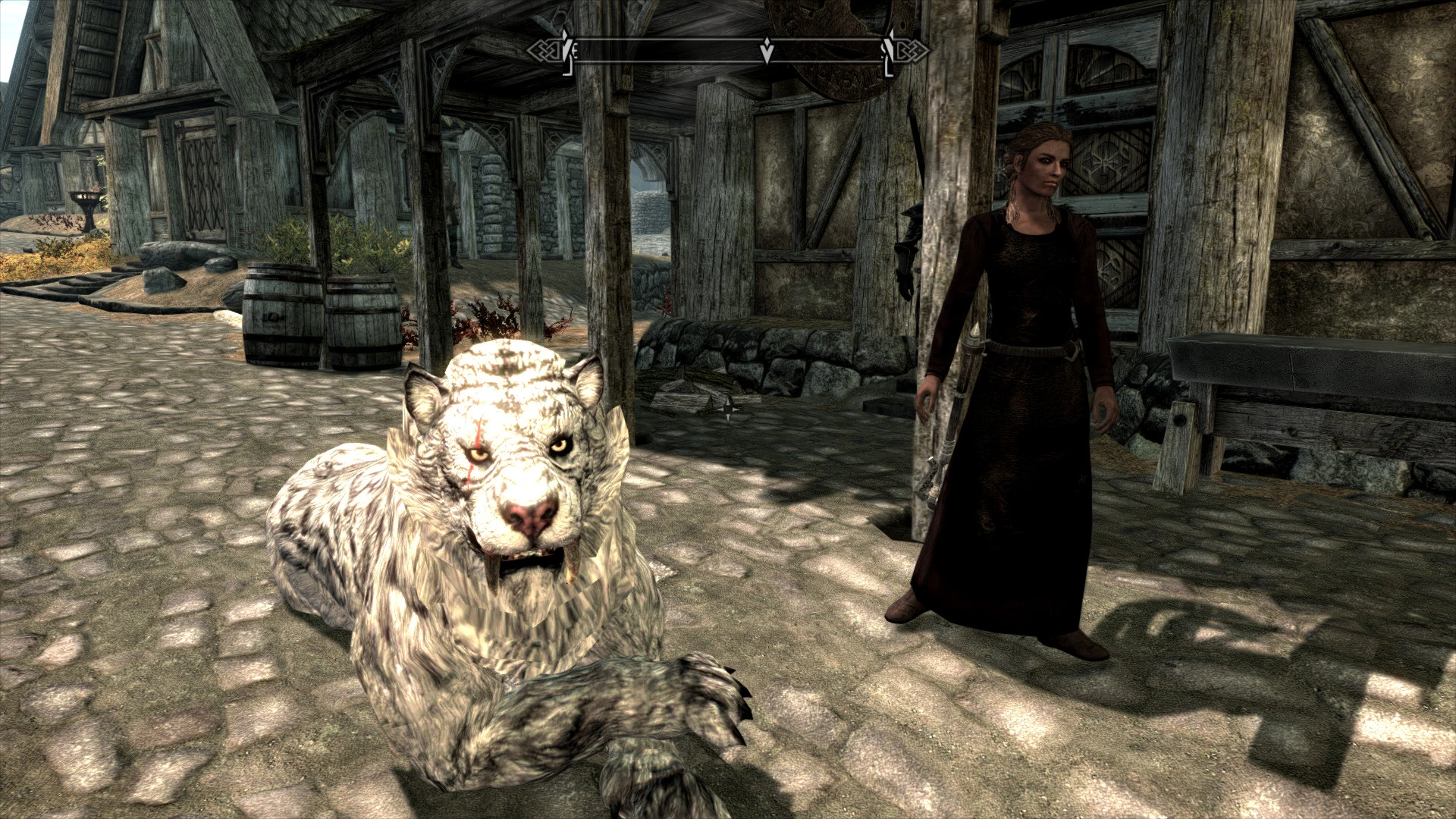 Sabre-Tooth-Cat Companion at Skyrim Nexus - Mods and Community. source: sta...