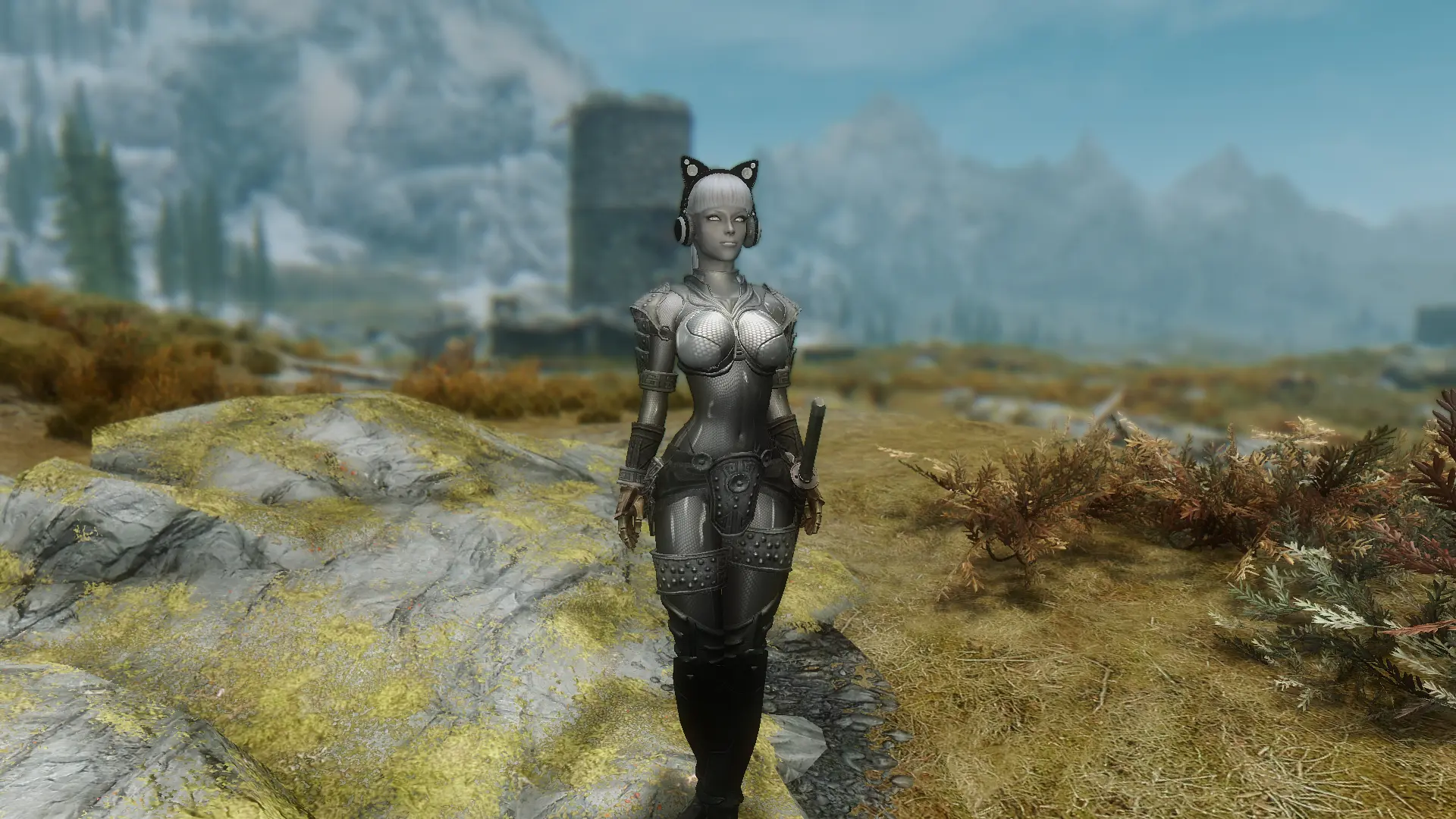 Skyrim Cosmetic Armor Slot Mod