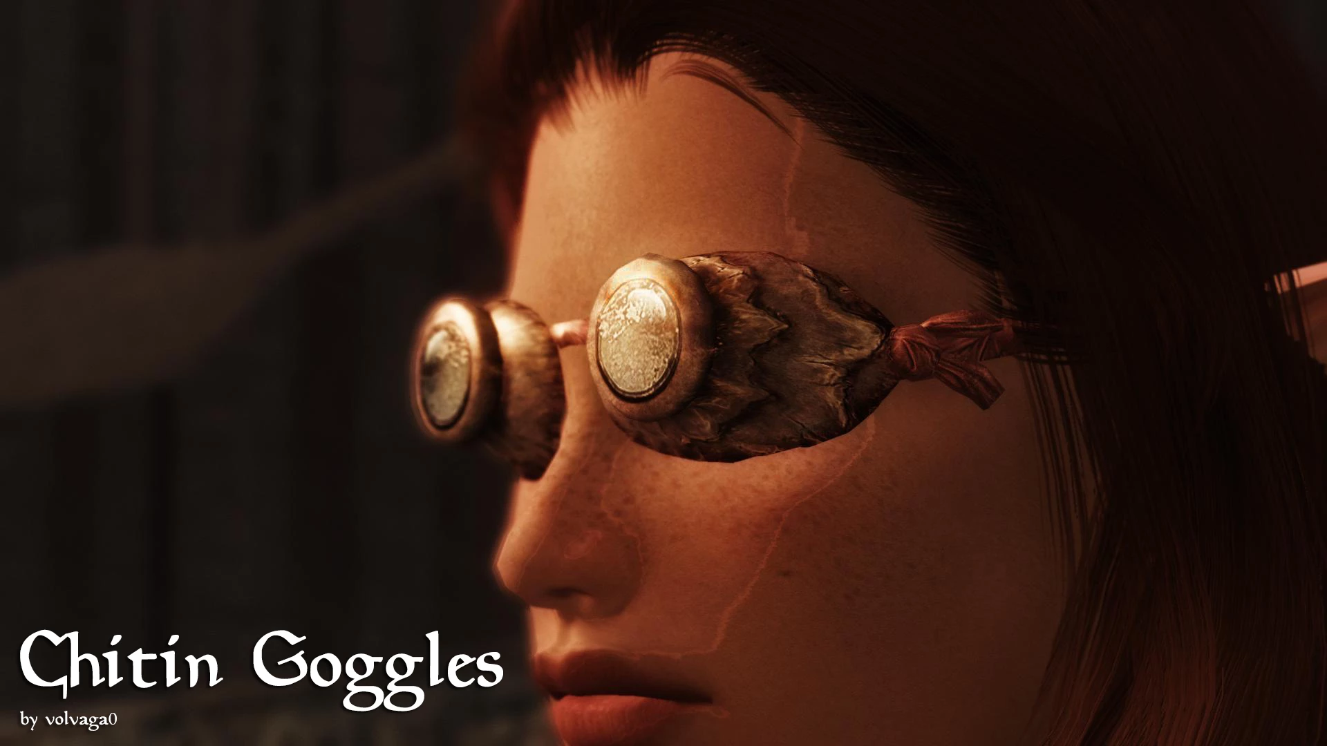 Chitin Goggles Chitin Goggles