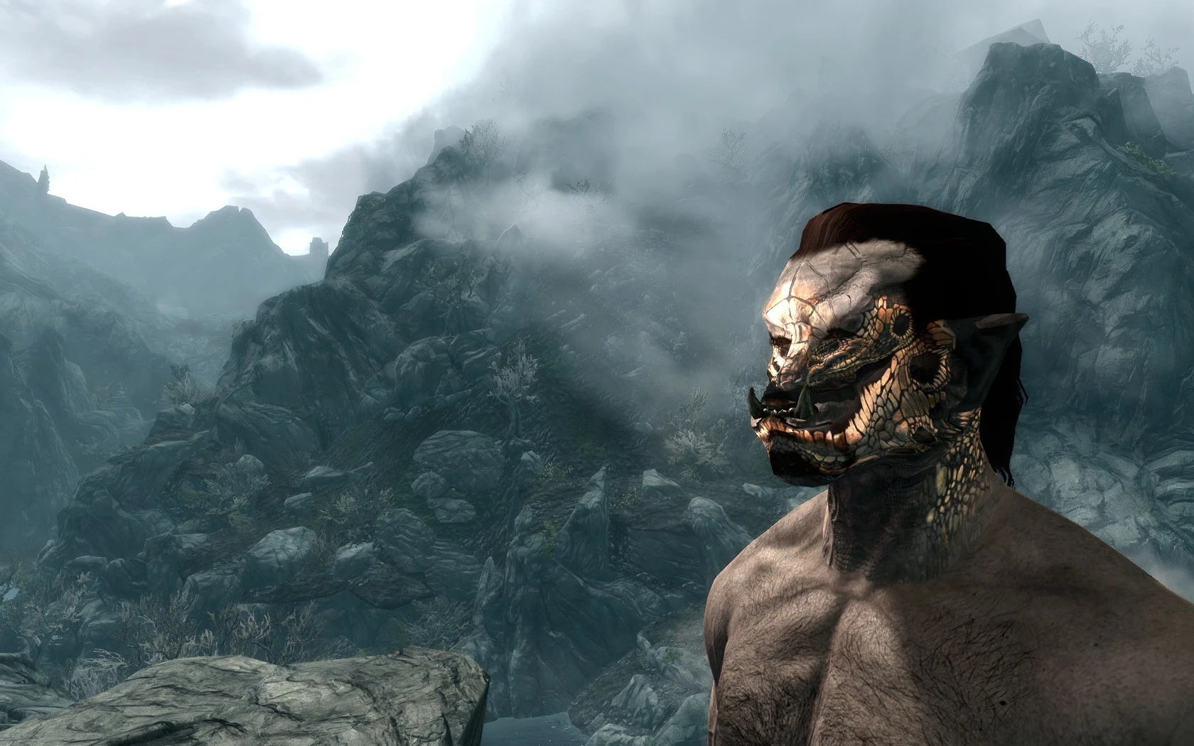 what skyrim race are you