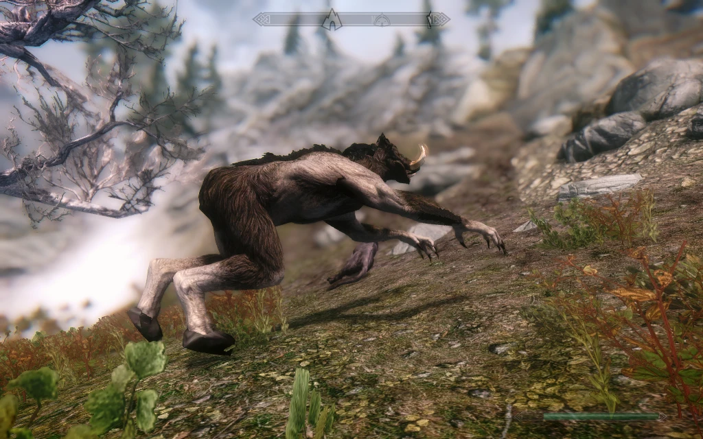 Wereboar Sprint At Skyrim Nexus - Mods And Community