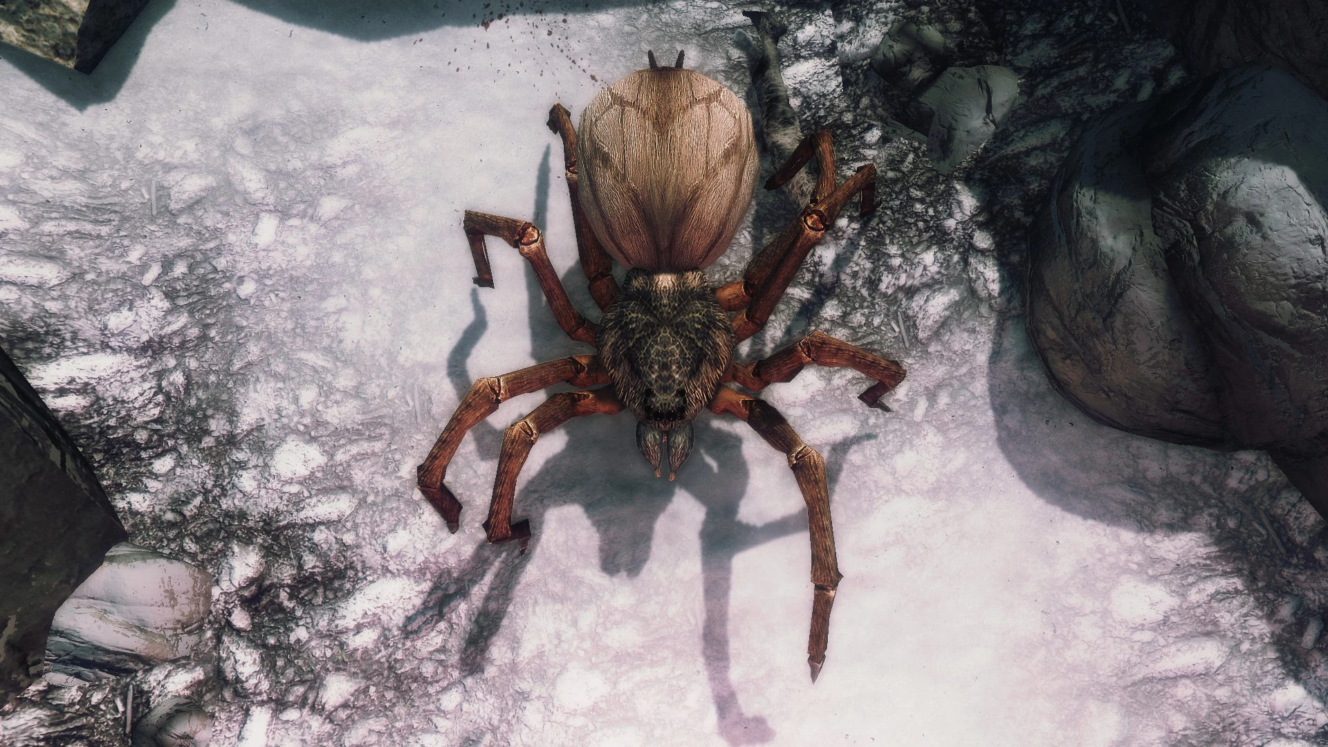 Eight legged friends at Skyrim Nexus - Mods and Community