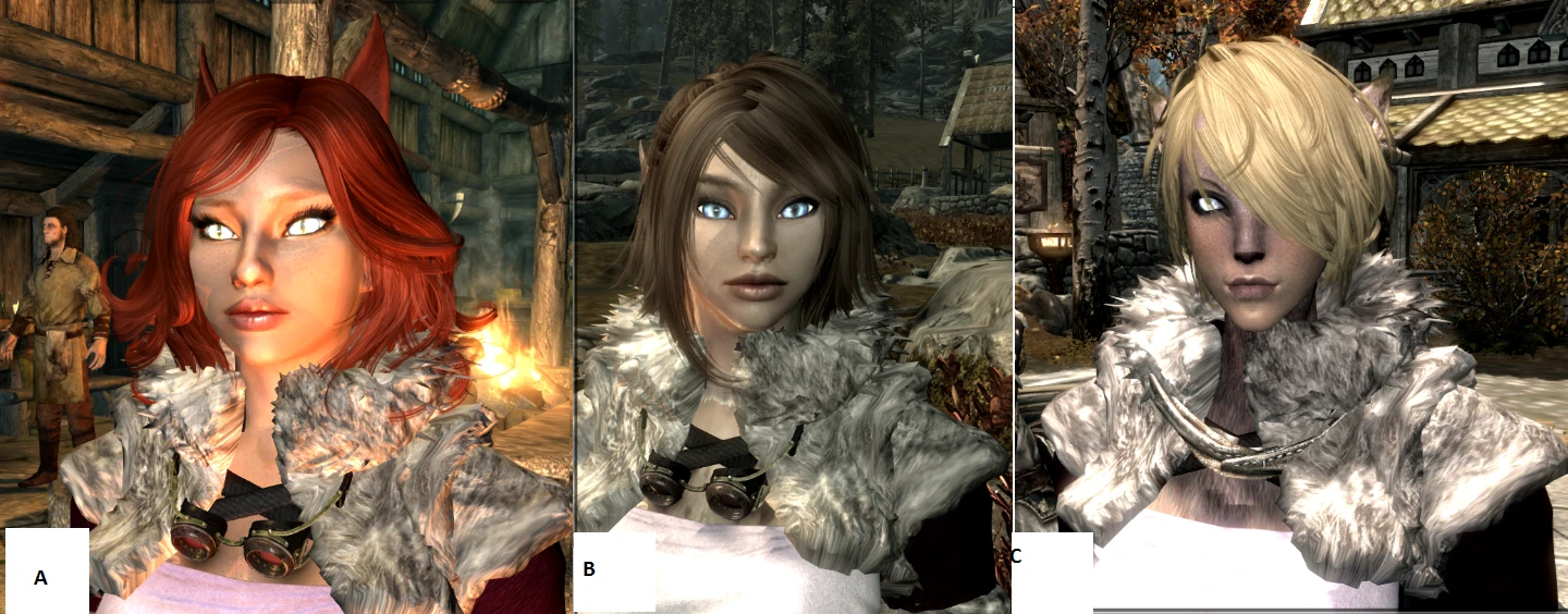 A B Or C At Skyrim Nexus - Mods And Community