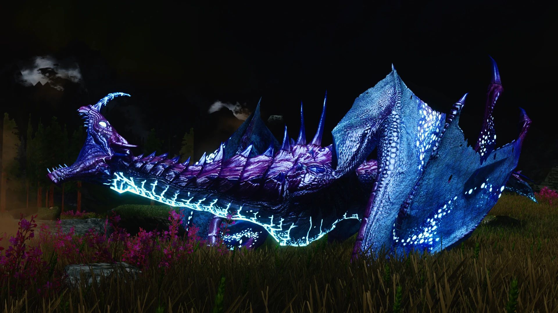 Colorful magic skyrim. Дракон фиолетовый. Драконы скайрим расцветка. Дракон skyrix из игры приключения дракона. Фото окрас дракона.