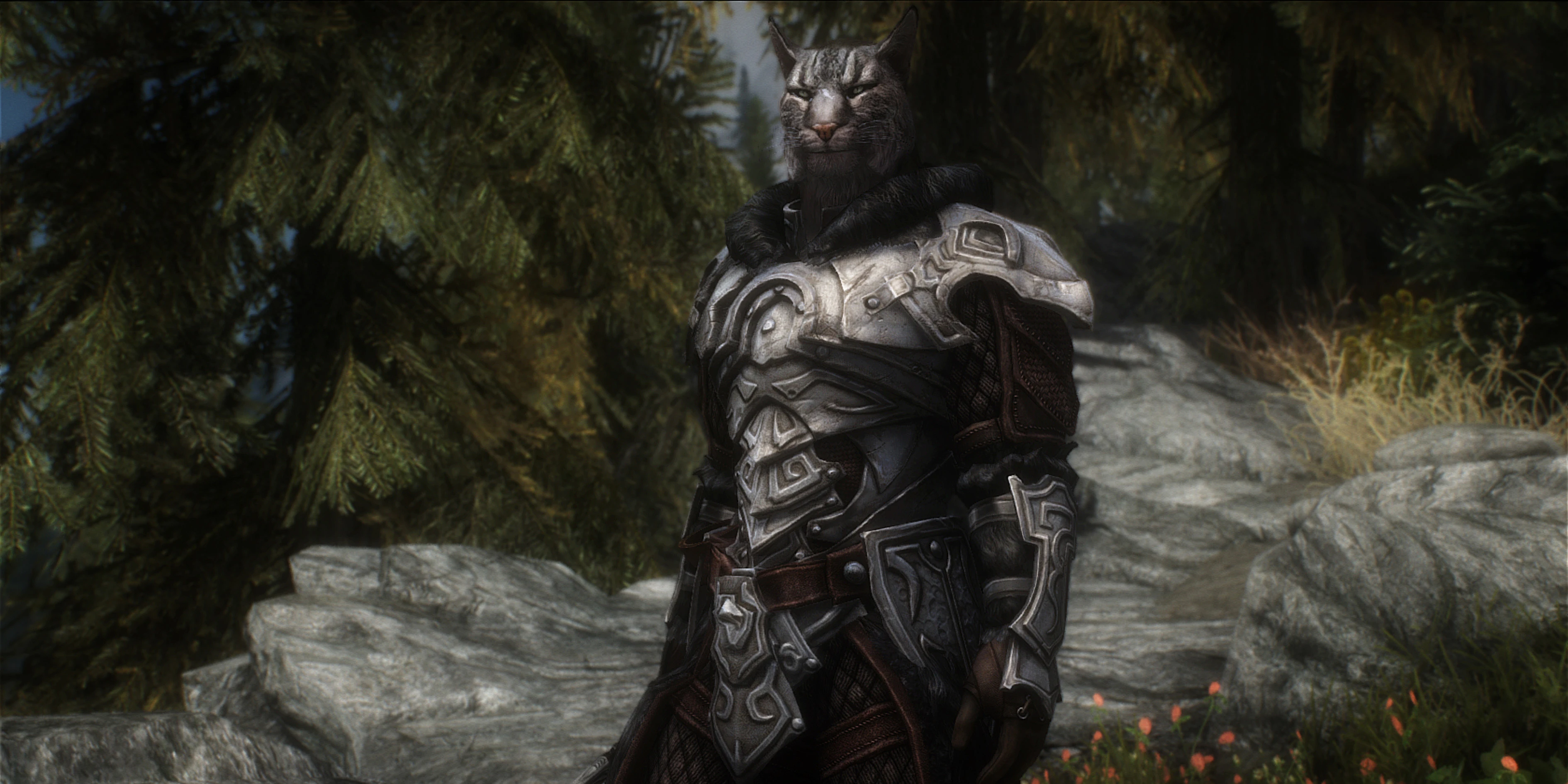Nordic armor by Cabal.