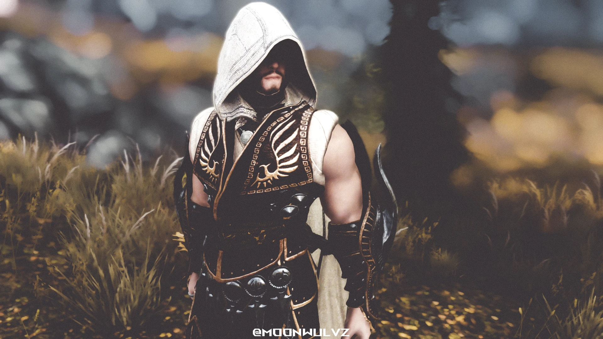 Assassin At Skyrim Nexus Mods And Community