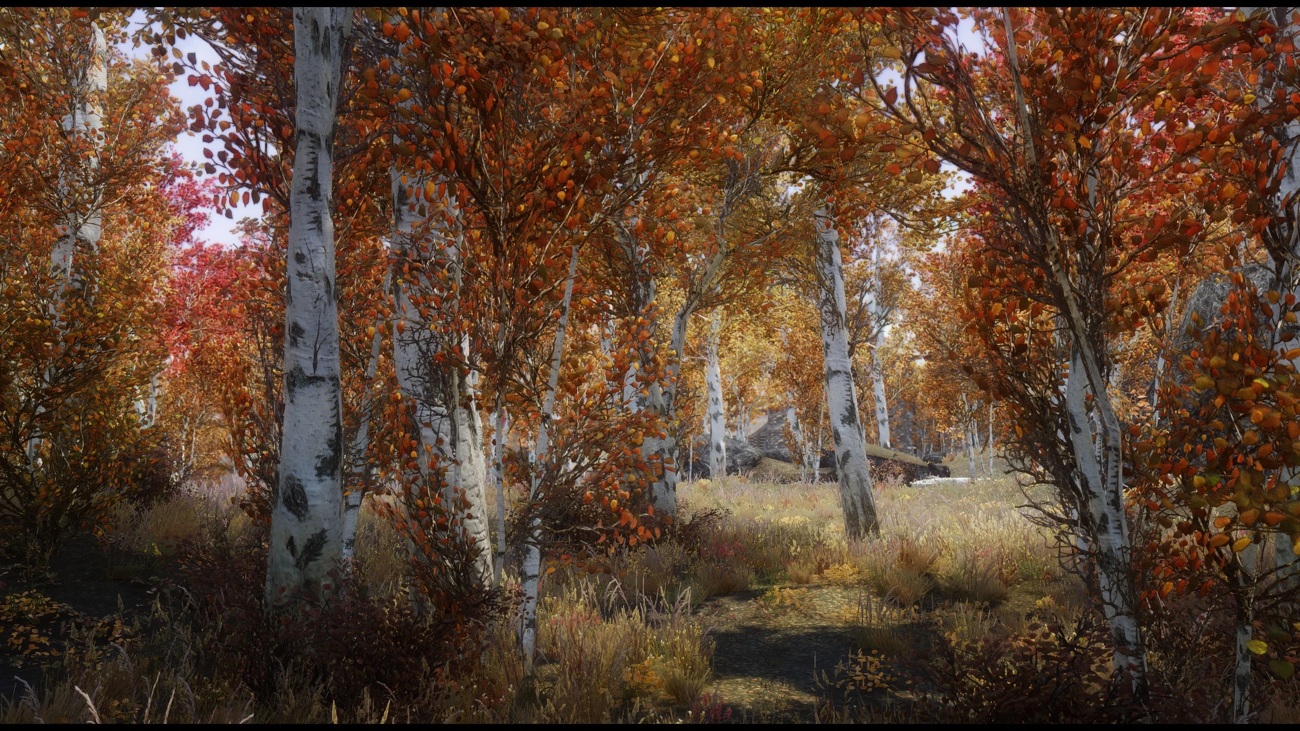 Nature's Fire At Skyrim Nexus - Mods And Community