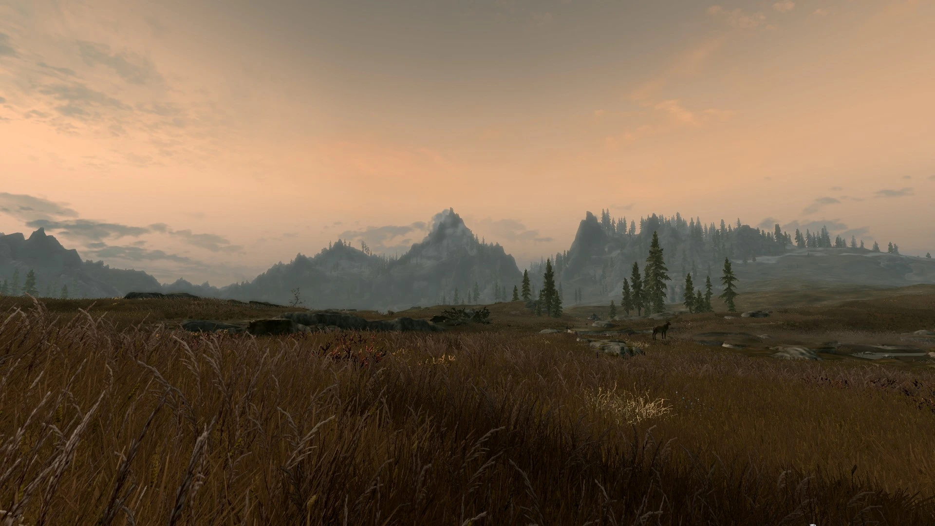 Grass Field 2 At Skyrim Nexus Mods And Community