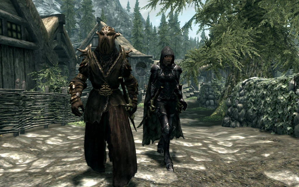 who is the best follower in skyrim