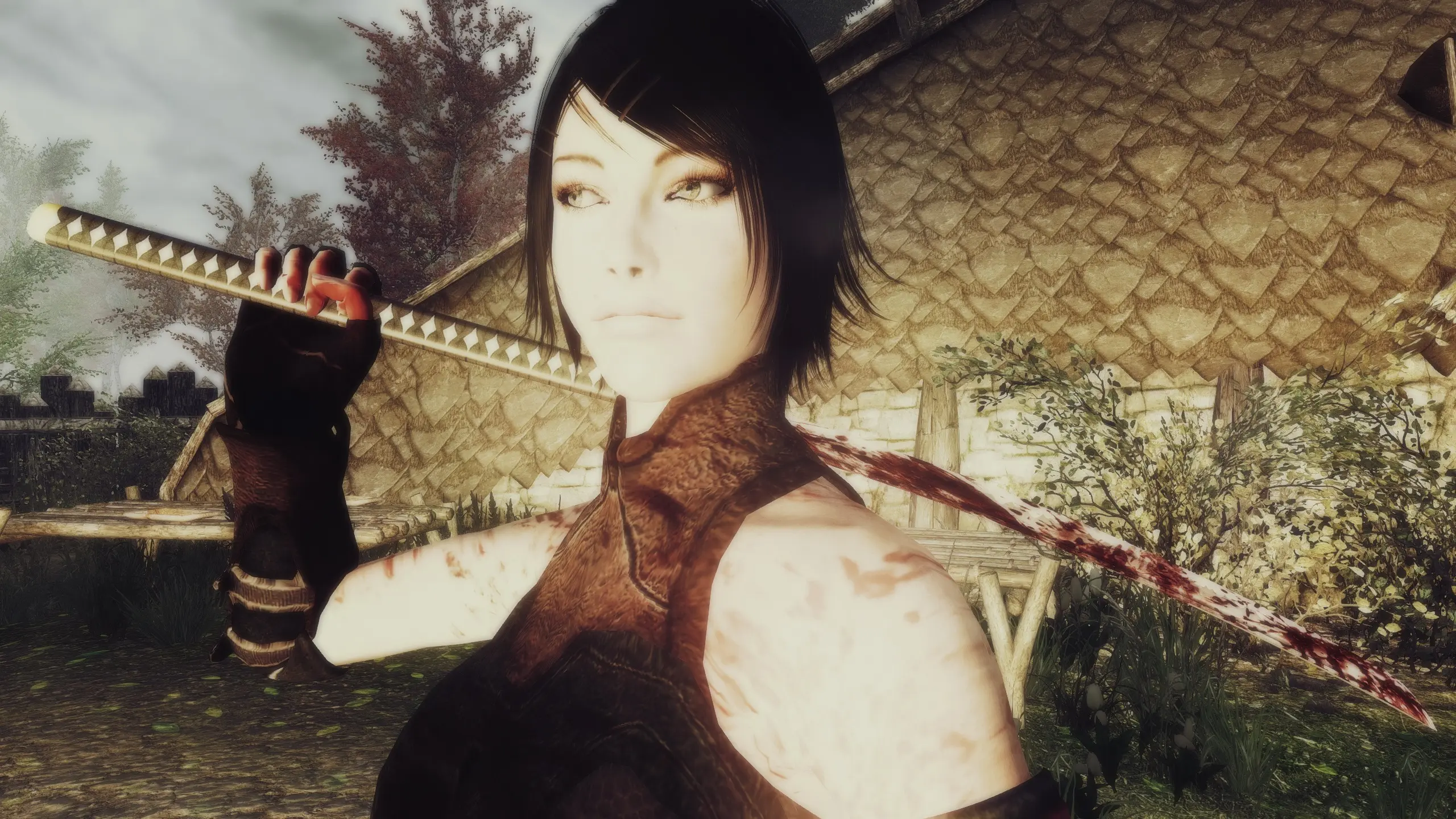 Skyrim Ninja at Skyrim Nexus - Mods and Community