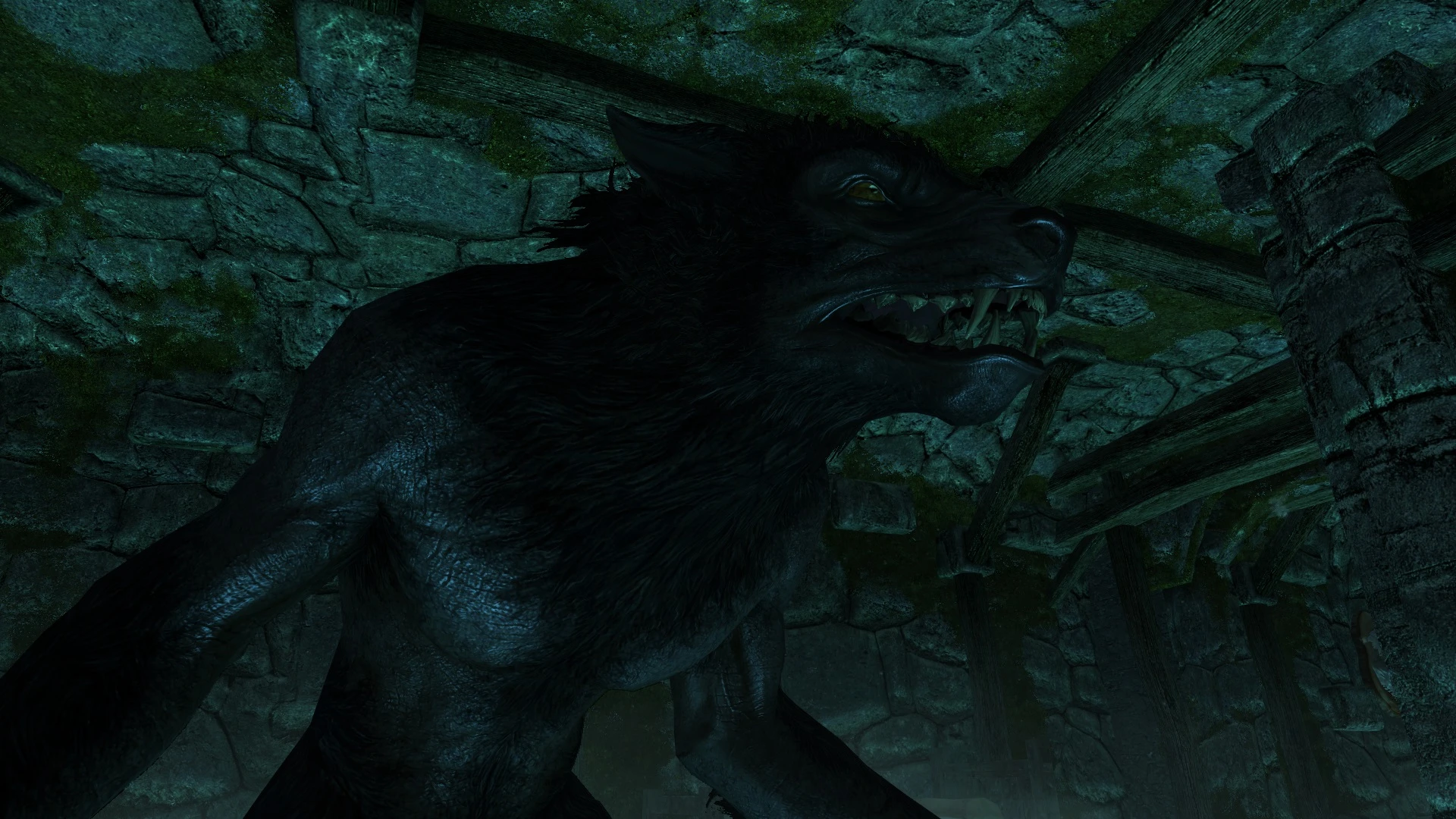 Lycanthropy 01 at Skyrim Nexus - Mods and Community