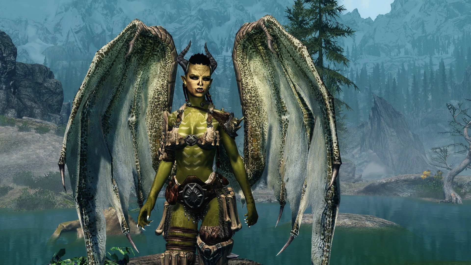skyrim not the dragonborn mod