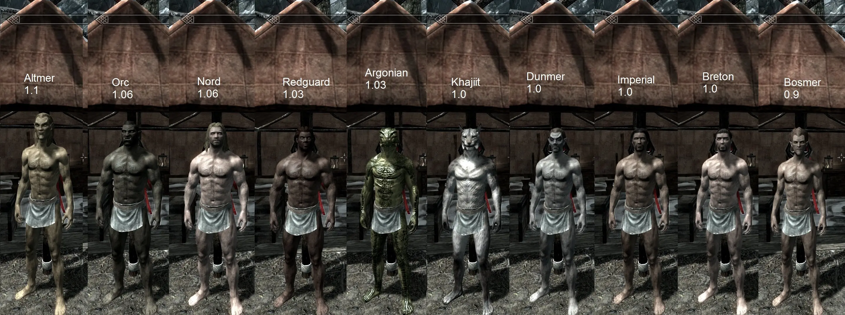 skyrim races