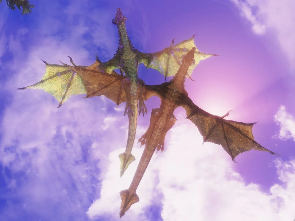 Twin Dragons at Skyrim Nexus - Mods and Community