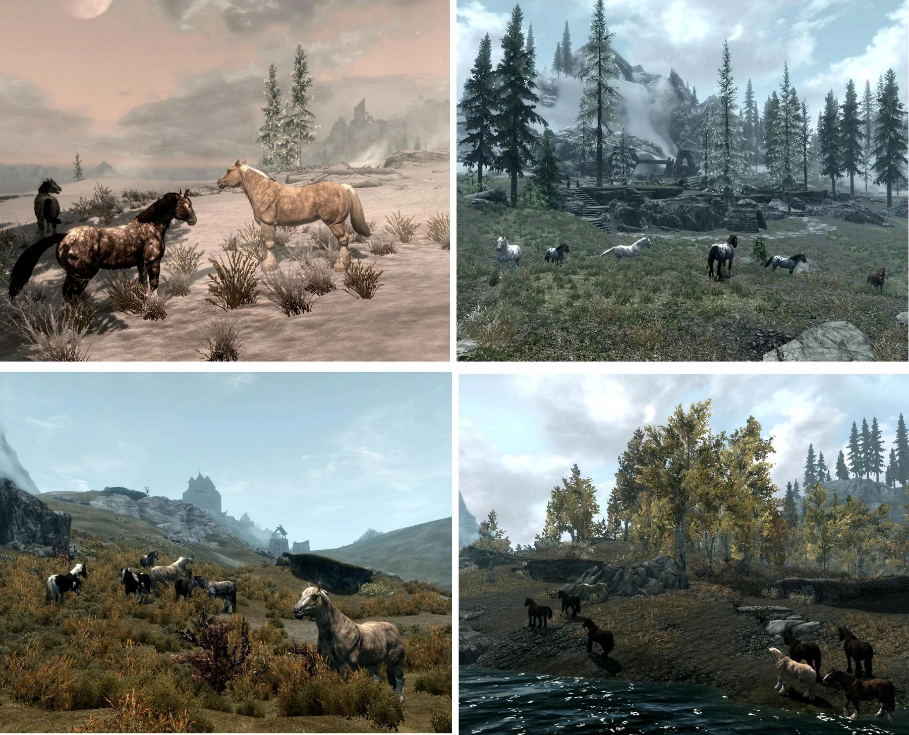 Horses Gone Wild - Updated at Skyrim Nexus - Mods and Community