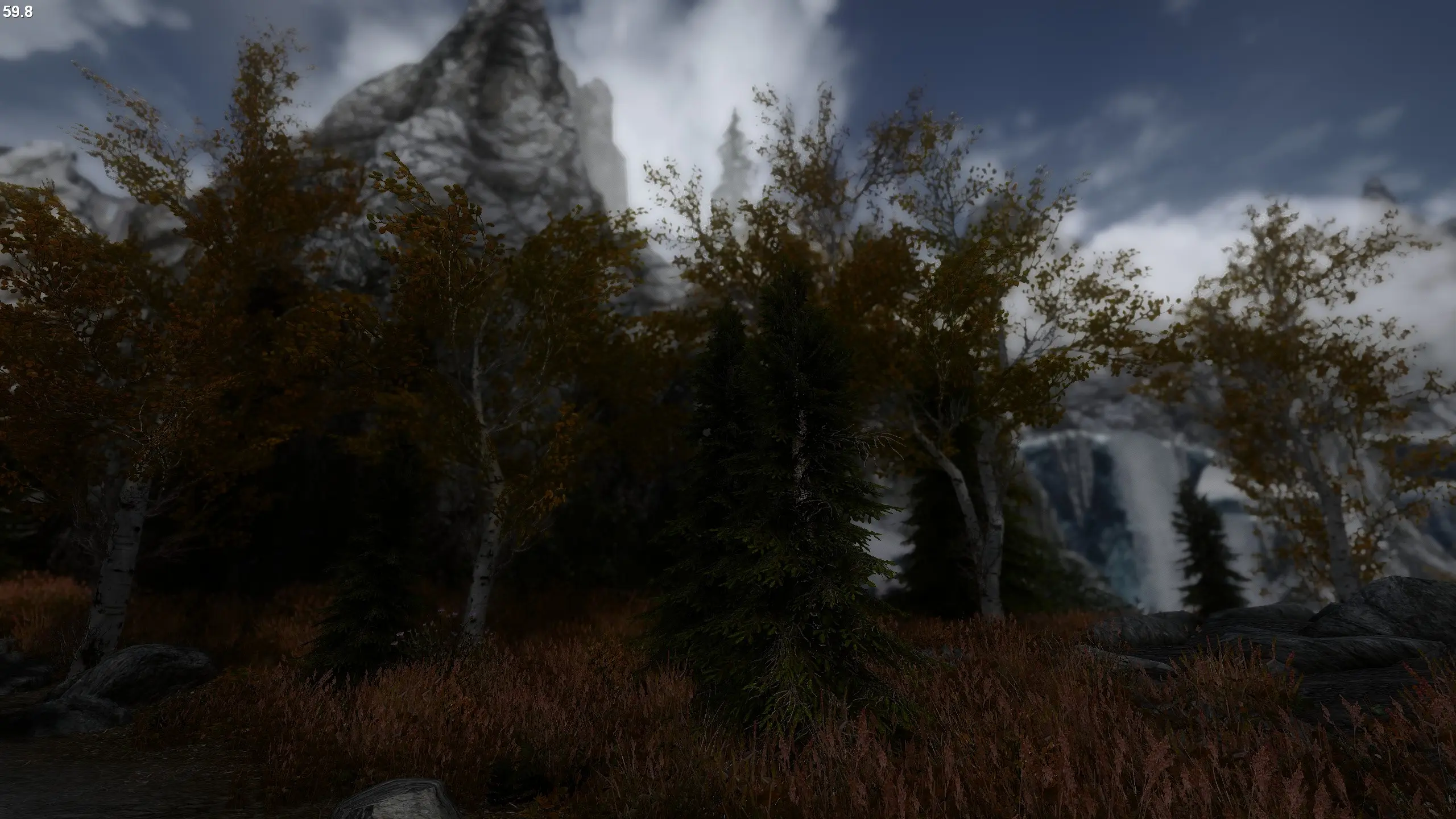 Tree's at Skyrim Nexus - Mods and Community