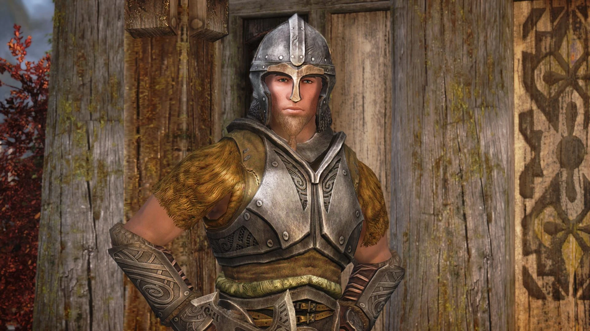 Whiterun Guard at Skyrim Nexus - Mods and Community