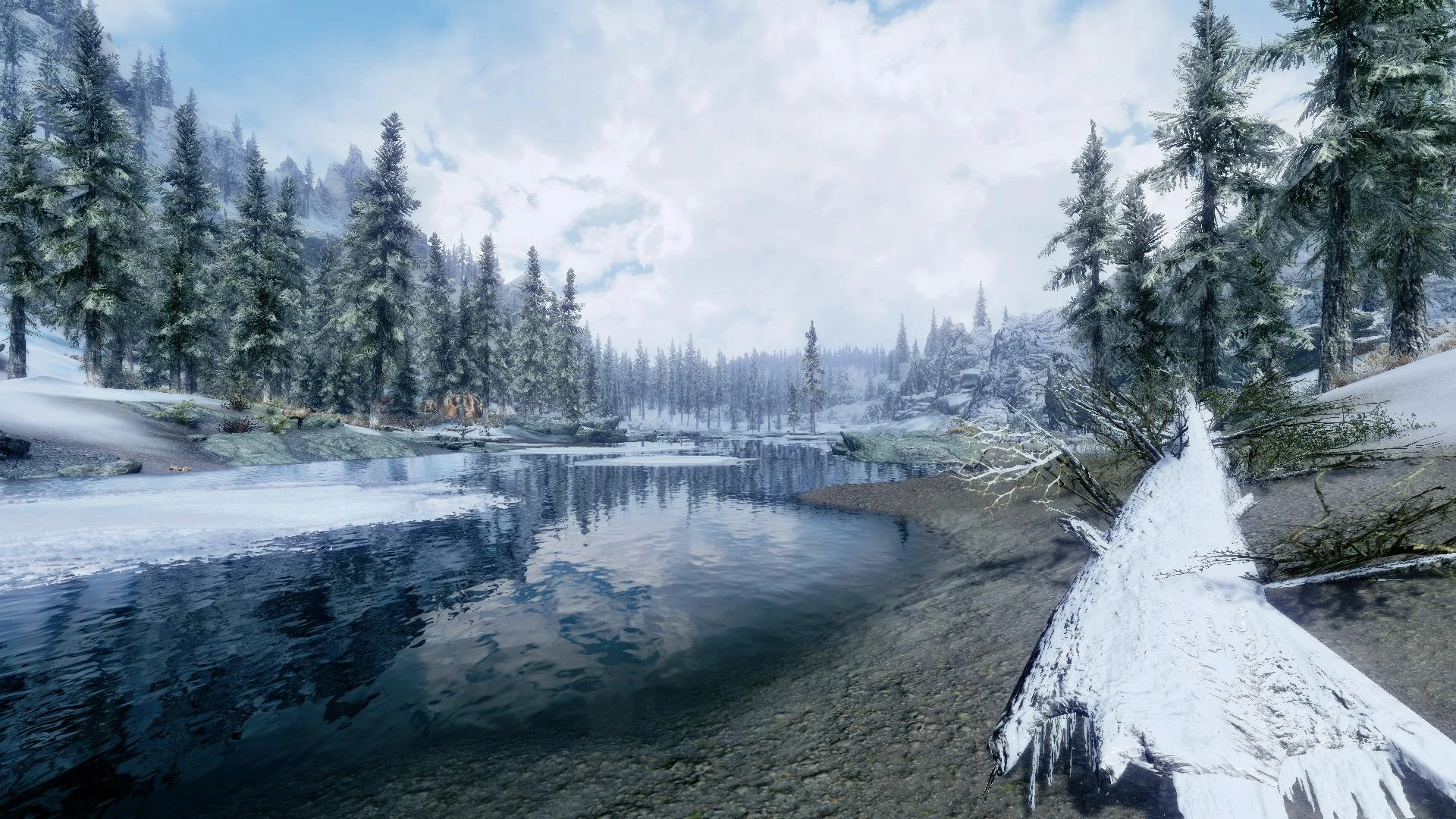 cold waters mods