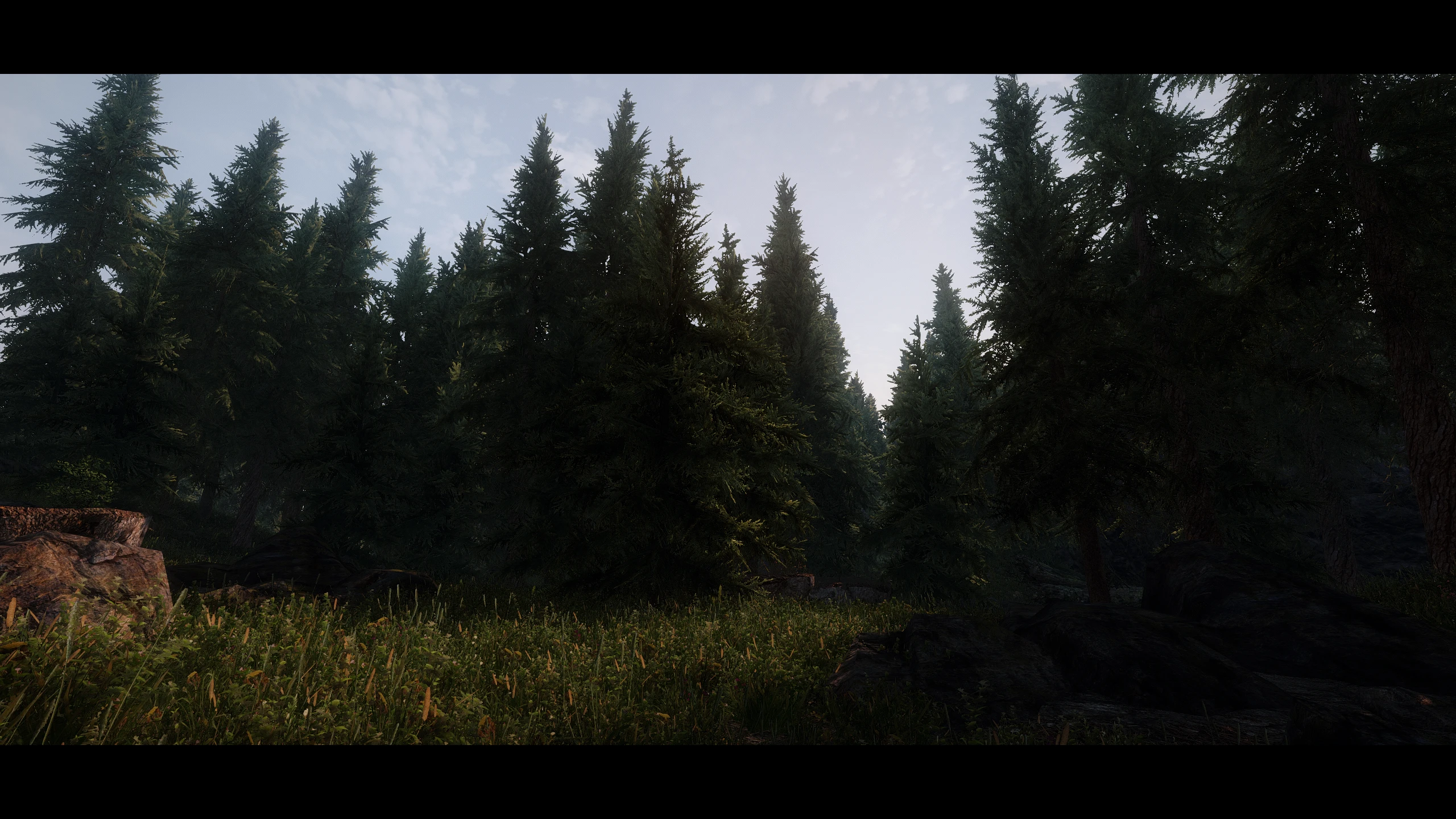 Forest Rudy 5 at Skyrim Nexus - Mods and Community