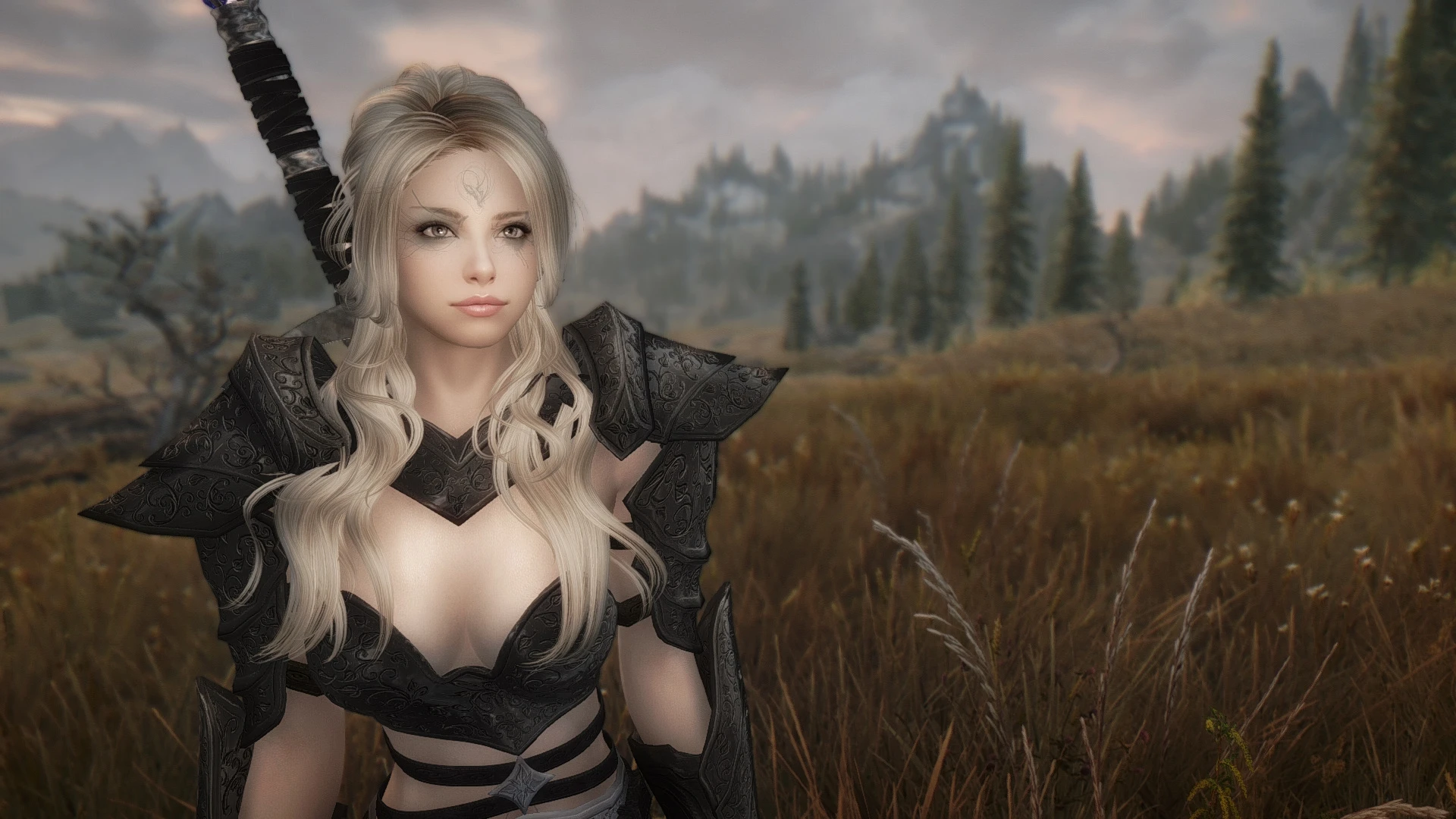 Alyssa skyrim. Темный рыцарь Блэк десерт 1080. Black Desert mobile темный рыцарь. Скайрим мод удивительный мир брони бикини. Black Desert sexy темный рыцарь.