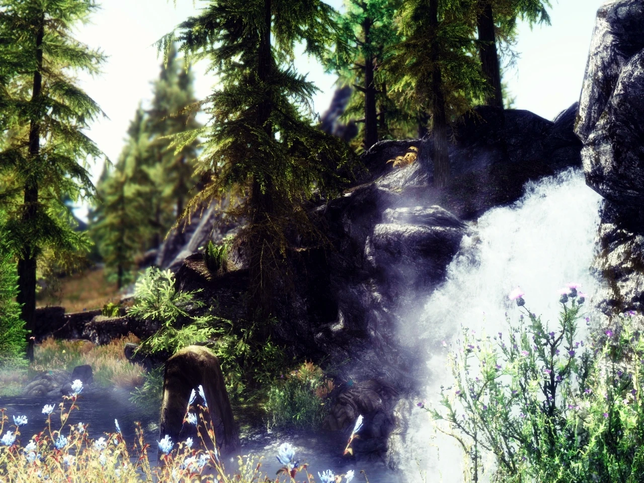 Evergreen Grove at Skyrim Nexus - Mods and Community