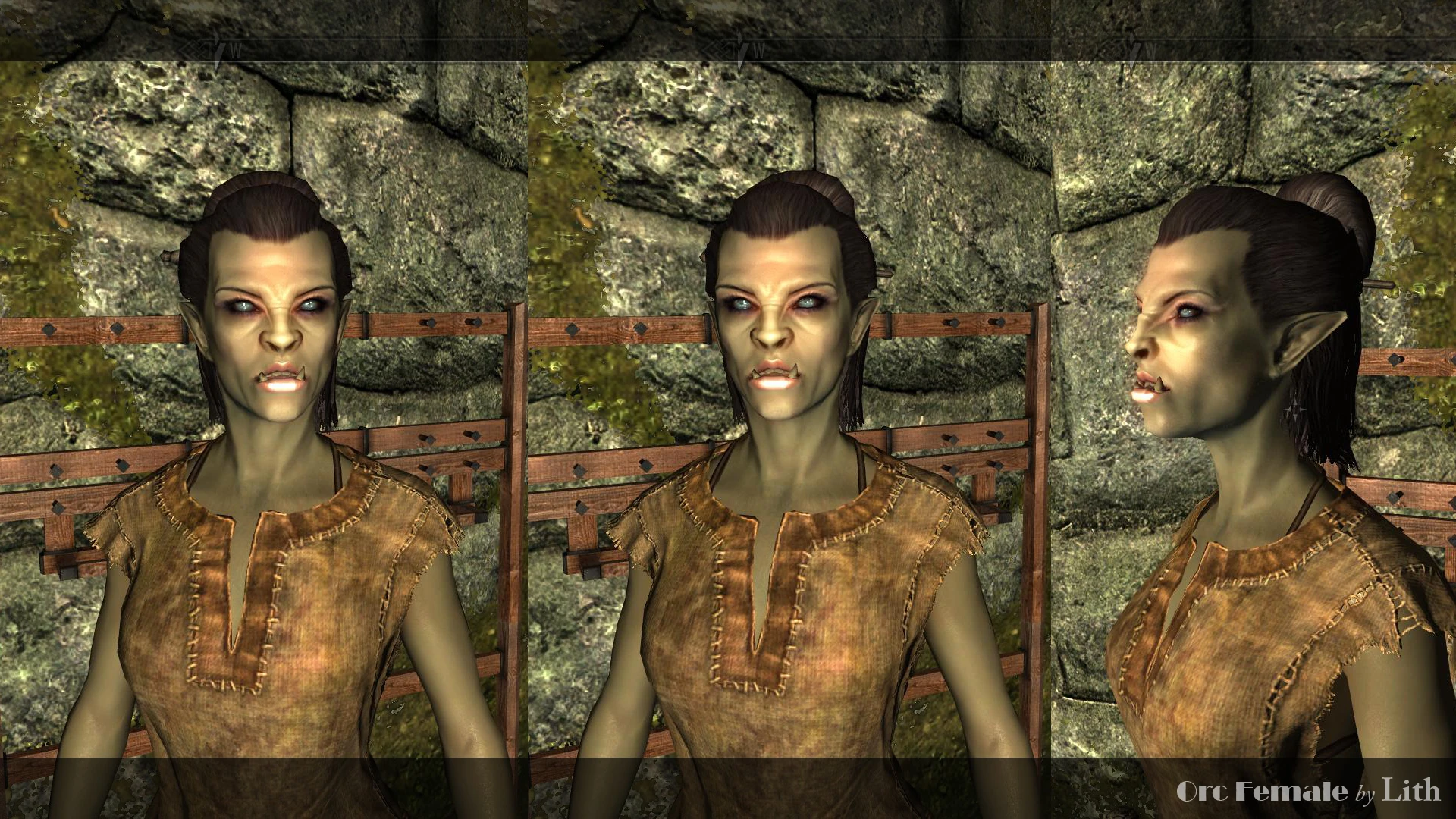 Orc Female Try At Skyrim Nexus Mods And Community   442698 1325017936 