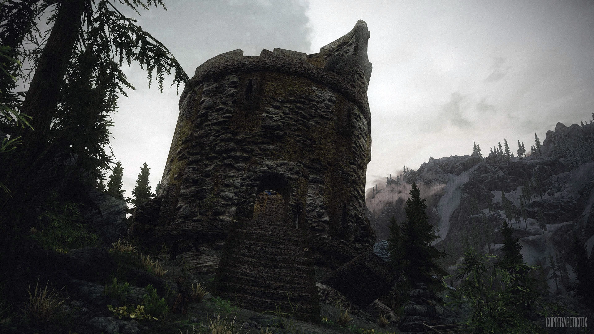 skyrim nexus history